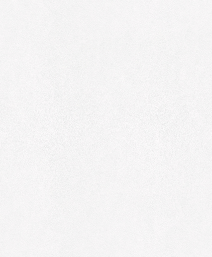 Marburger Tapete 9377 25,00 x 1,06 m Patent Grossrolle 2088